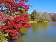 軽井沢タリアセン(塩沢湖)の紅葉