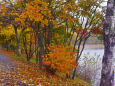 女神湖 湖畔の紅葉