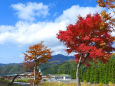 紅葉の季節 氷ノ山5