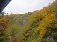 渓谷トンネルから見上げる紅葉