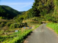 秋の田舎道