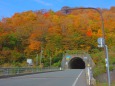 谷トンネルと紅葉