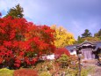 燃えるような紅葉