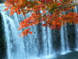 紅葉と滝と