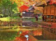 中尊寺 池と紅葉