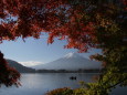 紅葉に富士山