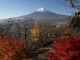 新倉山からの富士山