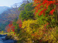 御岳渓谷の紅葉