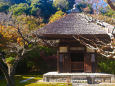 鎌倉 長寿寺の紅葉