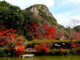 紅葉の三船山楽園