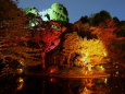 椿山荘庭園ライトアップ