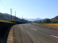 県境の山へ続く道