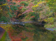 養老渓谷 川面に映る紅葉