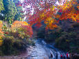 房総の名瀑 粟又の滝