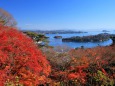 晩秋の松島