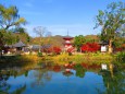 晩秋の嵯峨野大覚寺