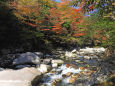 渓流の紅葉 奥津渓谷15