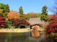 東山動植物園紅葉