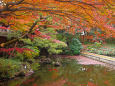 小石川後楽園の紅葉