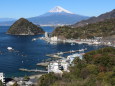 湾から眺める富士山