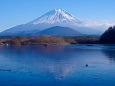 凍結の精進湖から