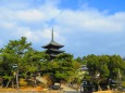 冬の奈良興福寺五重塔