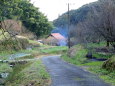 山間部の田舎道