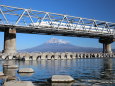 富士川から望む新幹線と富士山