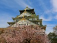 大阪城桜