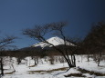 春の雪景色