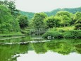 新緑の城北公園