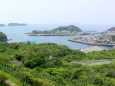 西海の島から海景色