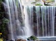 日本庭園の滝