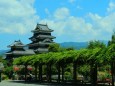 新緑の松本城