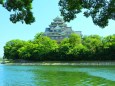 新緑の岡山城