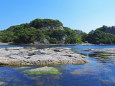 今子浦 初夏