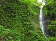 初夏の緑に囲まれる桂の滝5