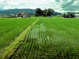 北信の田園風景