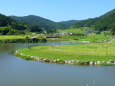 夏の水景色