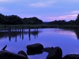 葛西臨海公園の夕景