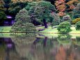 六義園の庭園風景