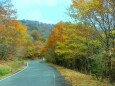 大台ケ原10月紅葉