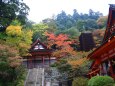 初秋の談山神社