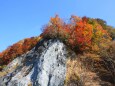 大台ケ原10月紅葉