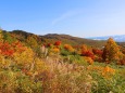 八幡平10月紅葉