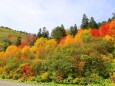 八幡平10月紅葉