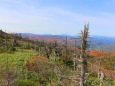 八幡平10月山頂