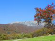 大山 秋 紅葉