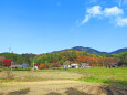 紅葉する山里