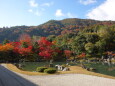 嵐山 天龍寺の紅葉